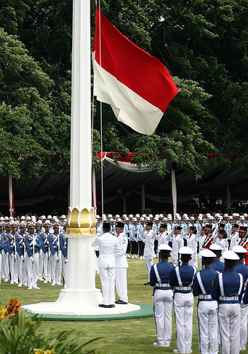 indonesian flag picture. Indonesian national flag.